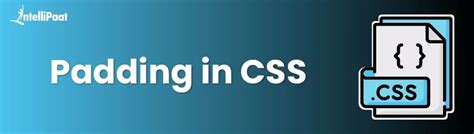 What Is the Purpose of Padding in CSS に対する画像結果