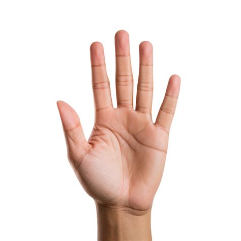 Image result for Extanble Hand