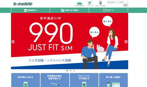 Image result for Bmobile Internet Card