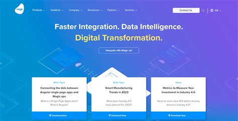 Image result for Magic Solution Software