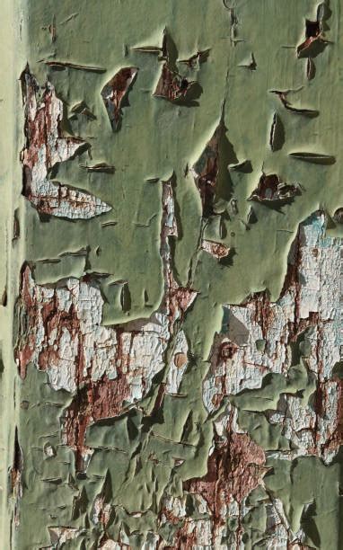 Toradh íomhá ar Wood Exture