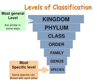 Image result for Classification Levels Template