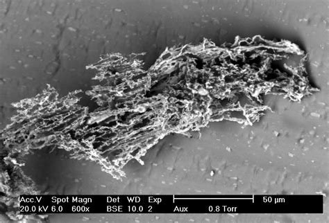 Image result for Coarse Mode Particles Microscope