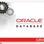 Image result for Oracle 10G Developer Logo