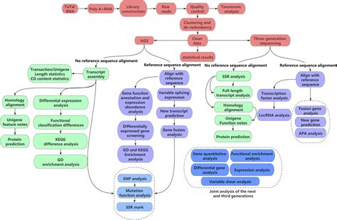 Image result for Transcriptomics Flow Chart