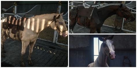 Toradh íomhá ar RDR2 Best Gun