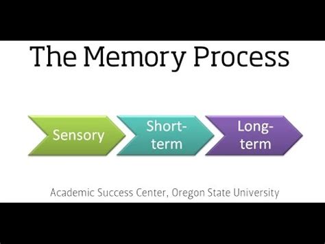 Image result for The Memory Process