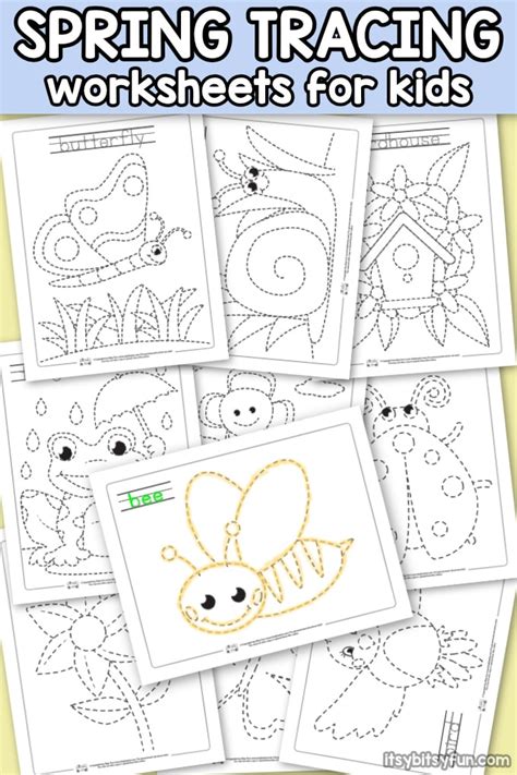 Image result for Spring Tracing