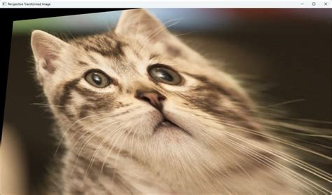 Read CV File Python に対する画像結果