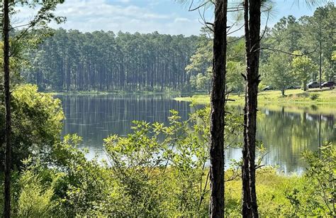 Mud Races in Milton Florida に対する画像結果