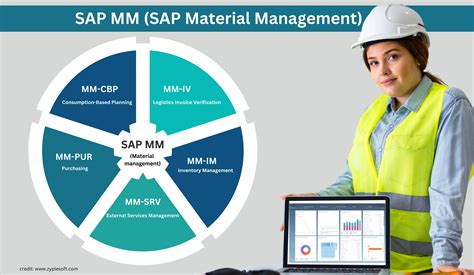 Modul Material Management SAP に対する画像結果