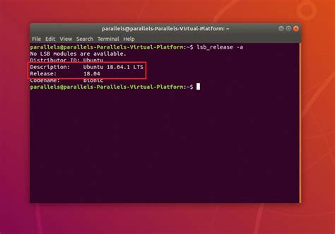 Image result for Terminal Admin Ubuntu