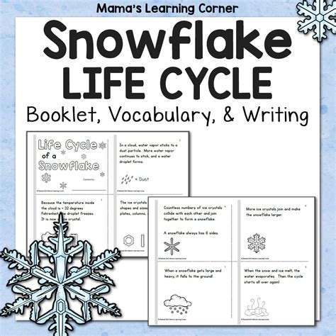 Image result for Snowflake Writing Worksheet