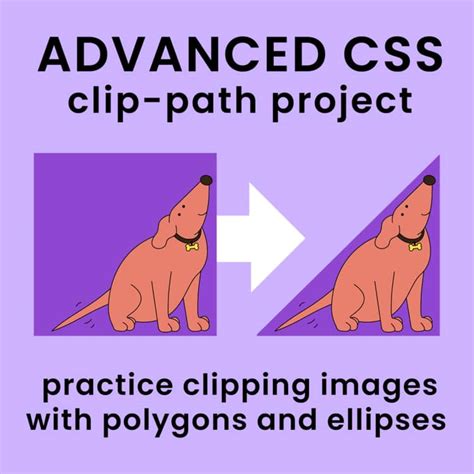 Image result for Using Clip Path CSS Image