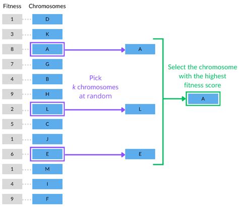 Tournament Selection Algorithm に対する画像結果