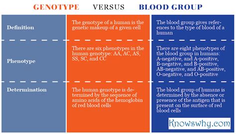 Toradh íomhá ar Genotype and Phenotype Bio-Blood