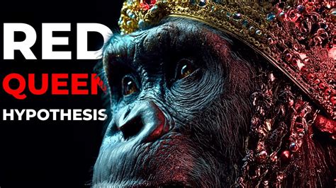 Image result for Accelerated Human Evolution