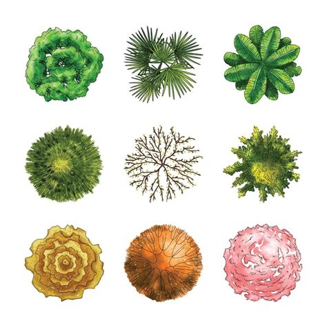 Bildergebnis für Tree Colored Plan View