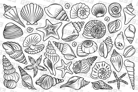 Shell Line Art に対する画像結果