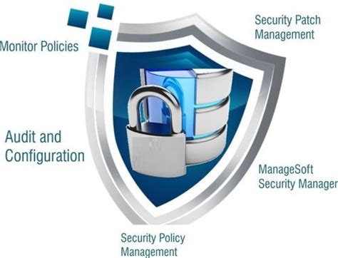 Image result for Security Manager Software