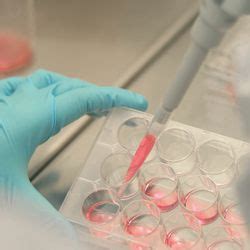 Image result for Biologics Development Lab