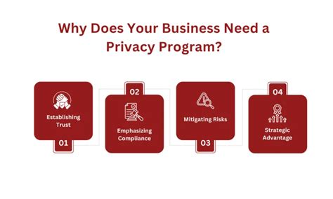 Image result for Privacy Program