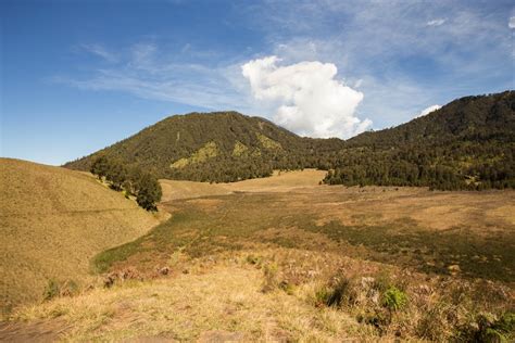 Image result for Icona Semeru Java