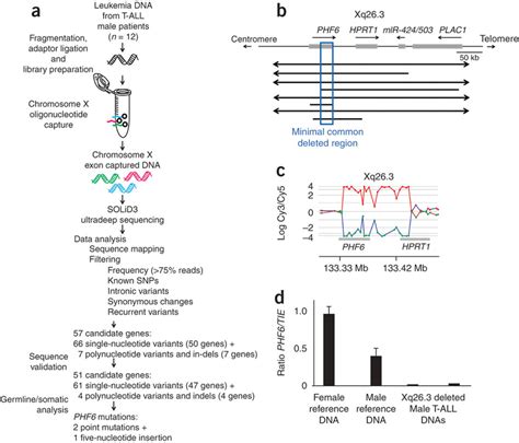 Image result for Array-Based Comparative Genomic Hybridization