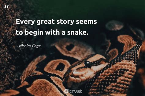 Python Snakequotes に対する画像結果