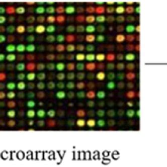 Image result for Microprism Array Imaging