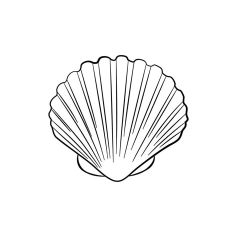 Toradh íomhá ar Shell B7W Vector