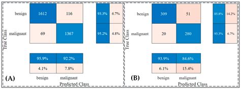 Image result for Skin Cancer Detection Using CNN