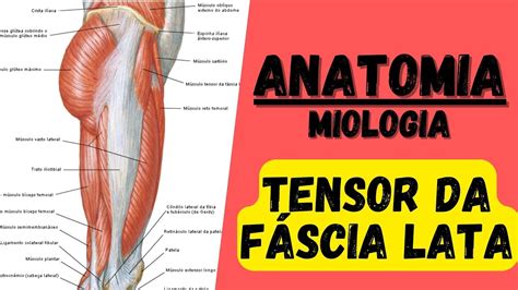 Toradh íomhá ar Tensor A-I J-R