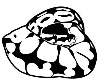 Image result for Ball Python Outline