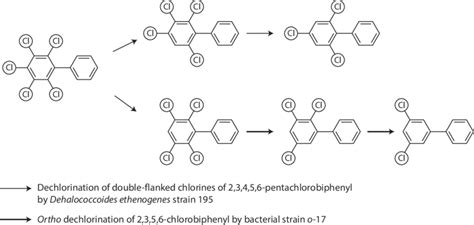 Image result for Reductive Dehalogenation