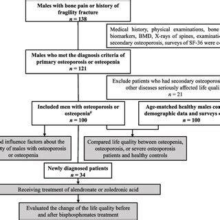Study Procedure Flow Chart に対する画像結果