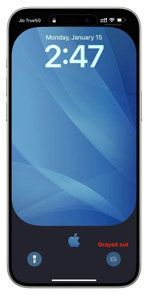 Image result for iOS Camera Screeen