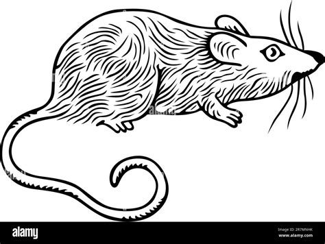 Lab Mouse Dead Drawing に対する画像結果