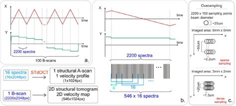 Image result for Scan Protocol