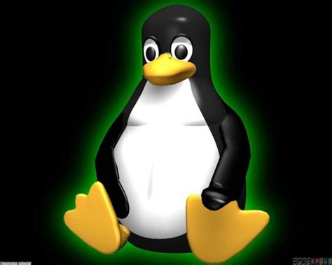 Image result for Linux Penguin vs Windows