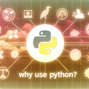 Afbeeldingsresultaten voor Why Use Python