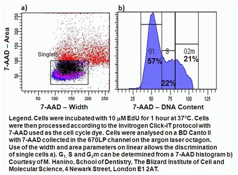 Image result for Cell Cycle Flow Kit