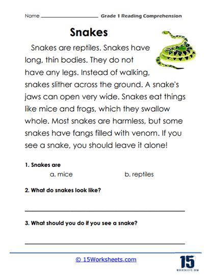 Image result for Snakes Secret Message Worksheet