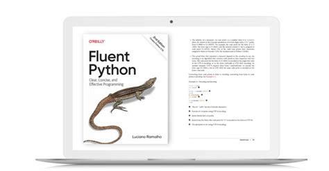 Python Programming Text by O'Reilly に対する画像結果