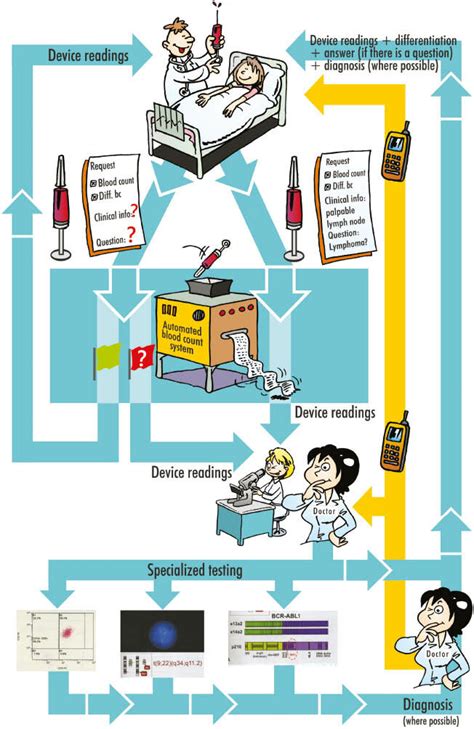 Image result for Workflow Chart for Hetro Labs Process