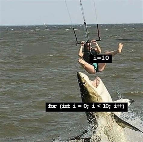 Image result for Funny Example of Do While Loop