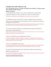 Image result for Lizard Evolution Virtual Lab Groups Answer Key