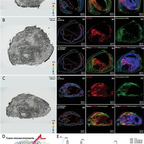 Image result for Advanced Science G Stylios