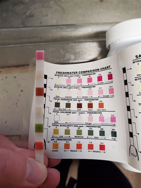 Image result for API Test Strips Chart