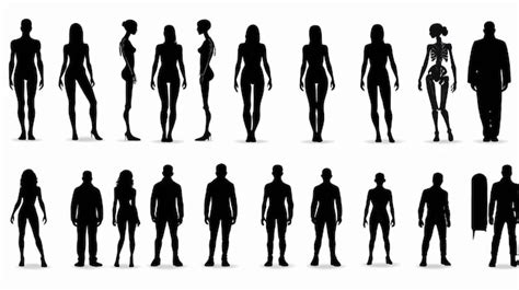Image result for Basic Human Figure
